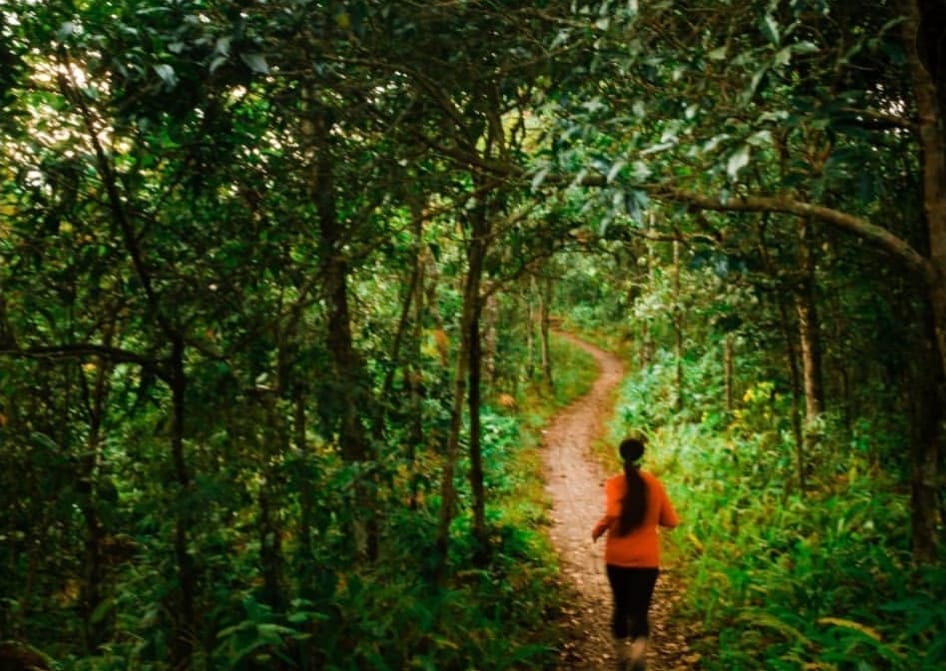 Trail Running & Hiking